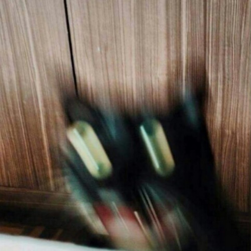 Meet your Posher, Stephen